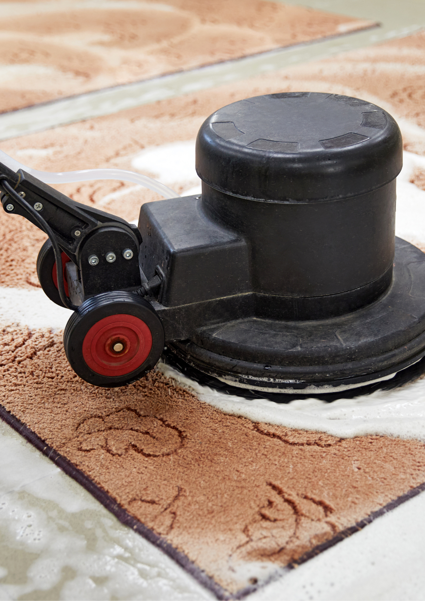 Nettoyage moquette et tapis